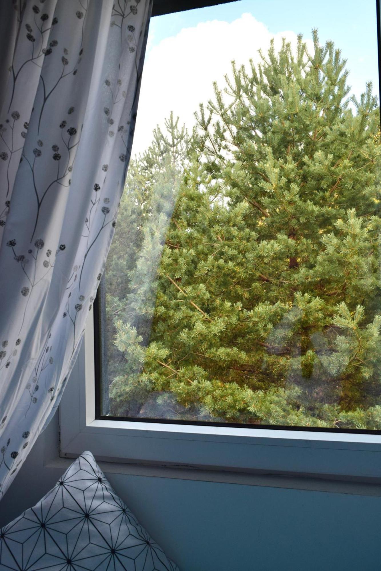 Hiona Apartment Копаоник Екстер'єр фото